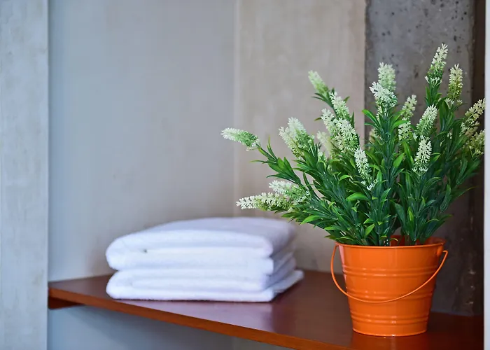 Mercearia D'alegria Boutique فندق مبيت وإفطار 3*