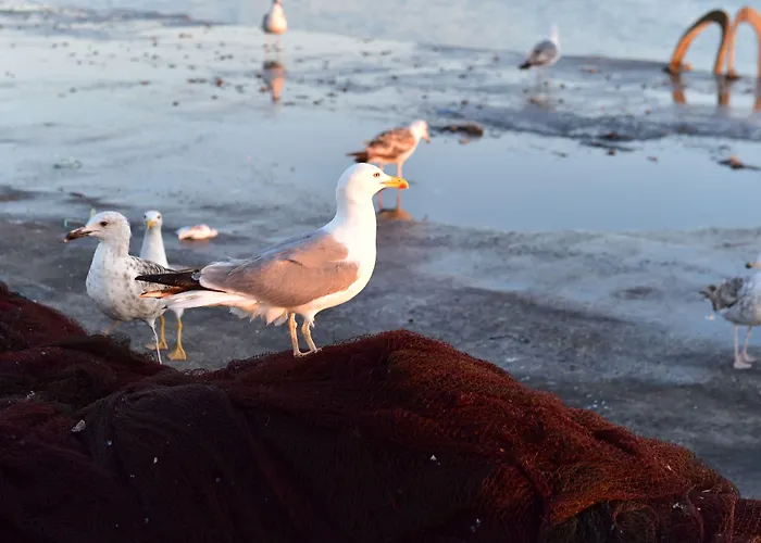 Mercearia D'alegria Boutique 3*